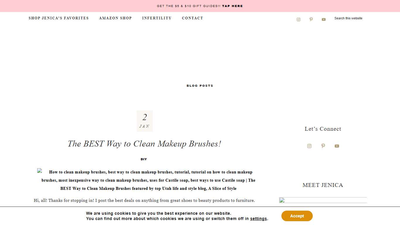 The BEST Way to Clean Makeup Brushes! | A Slice of Style